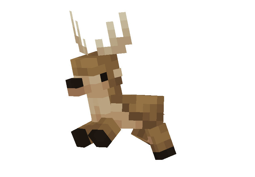 Deer Deer
